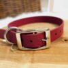 Collier Alva wine