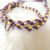 Laisse Sunny en biothane (Personnalisée) – Image 5