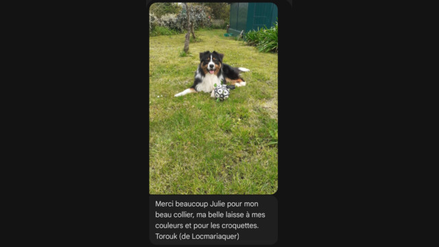 avis-clients-16 avis-clients-16