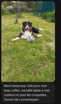 avis-clients-16 avis-clients-16