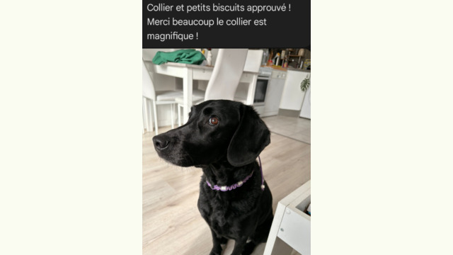 avis-clients-17 avis-clients-17