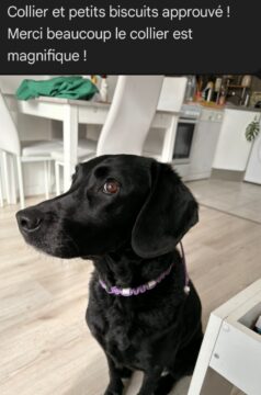 avis-clients-17 avis-clients-17